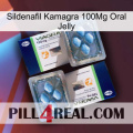 Sildenafil Kamagra 100Mg Oral Jelly viagra5